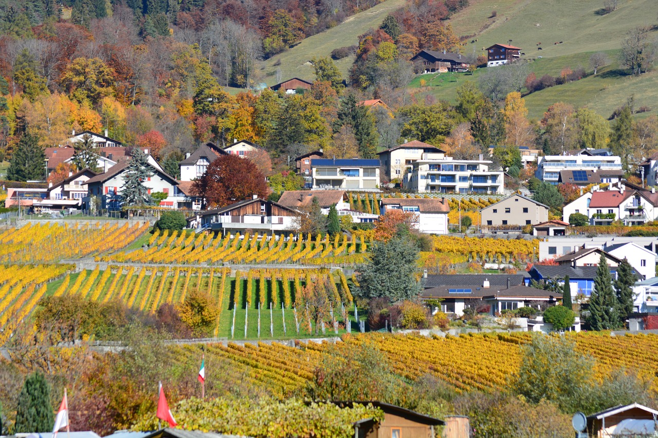 autumn village vines free photo