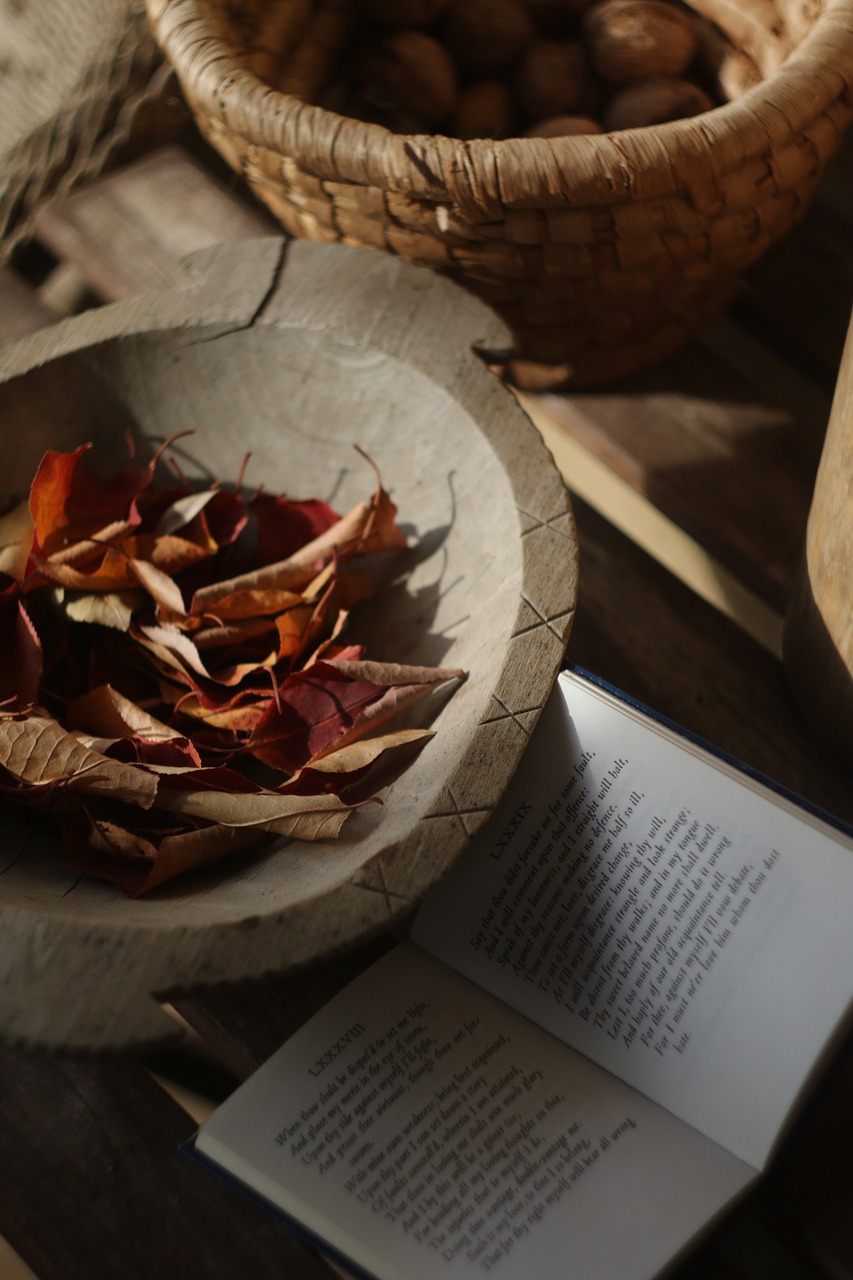 autumn red leaves free photo