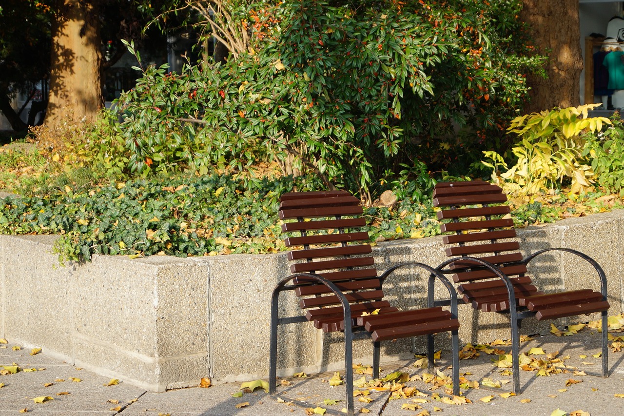 autumn break chair free photo