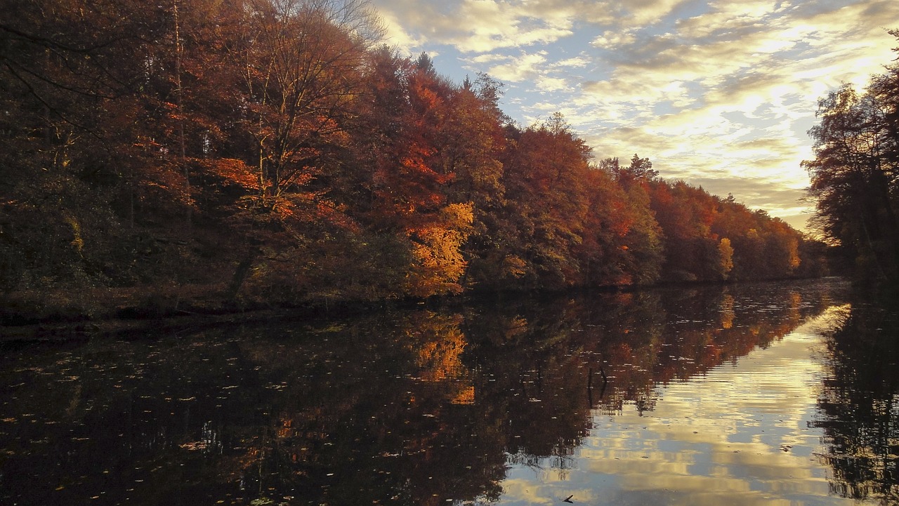 autumn colorful golden autumn free photo