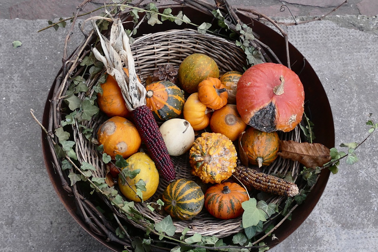 autumn bowl collected free photo