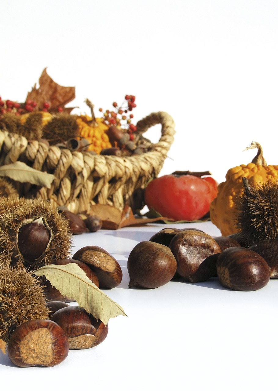 autumn fruit chestnuts free photo