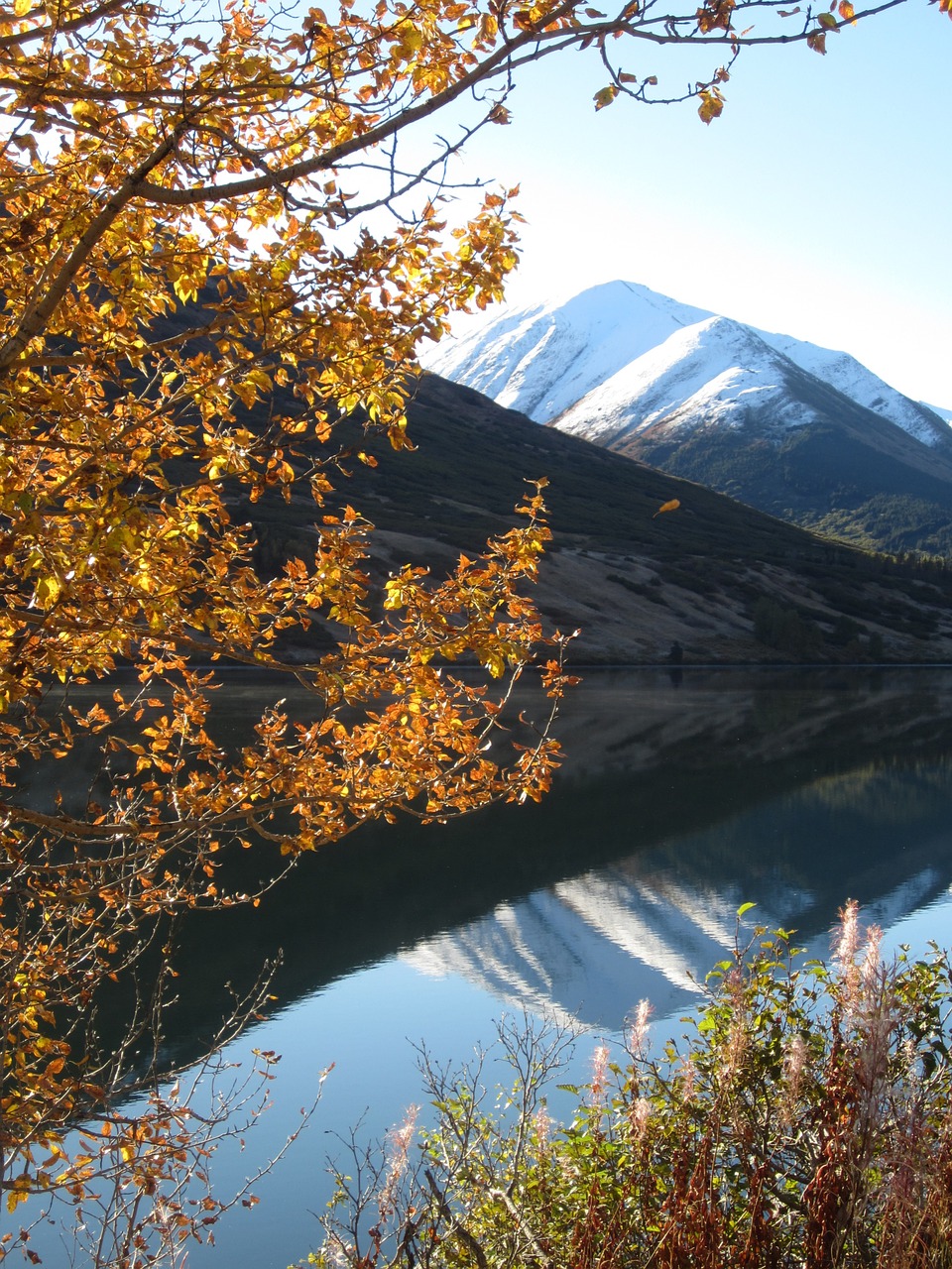 autumn alaska reflection free photo