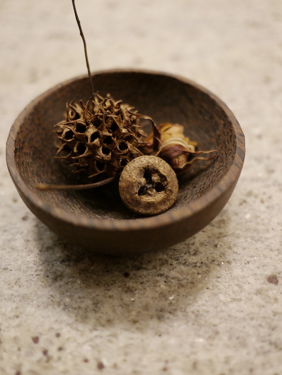 autumn dried flowers bowl free photo