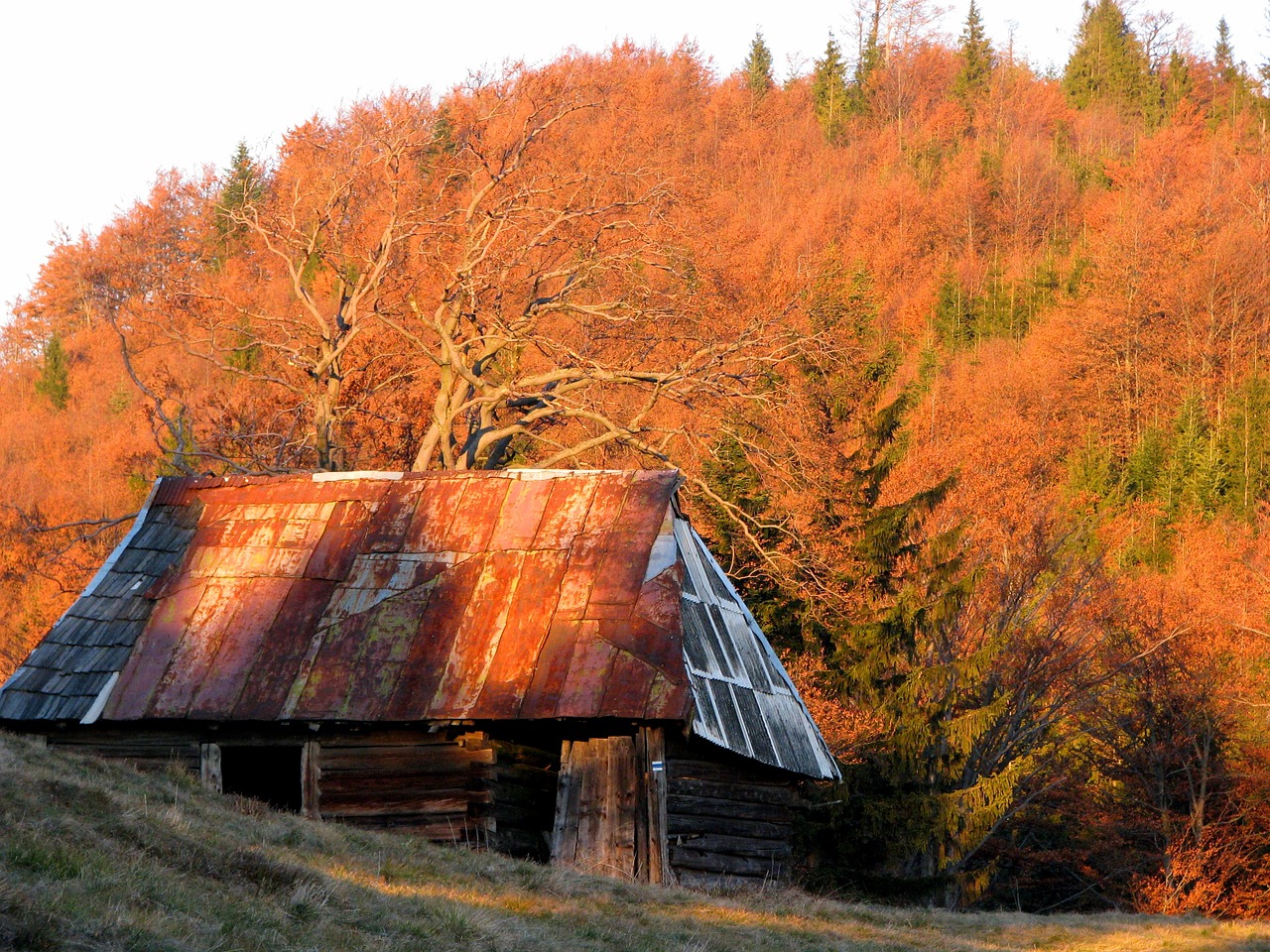 autumn mountains hut free photo