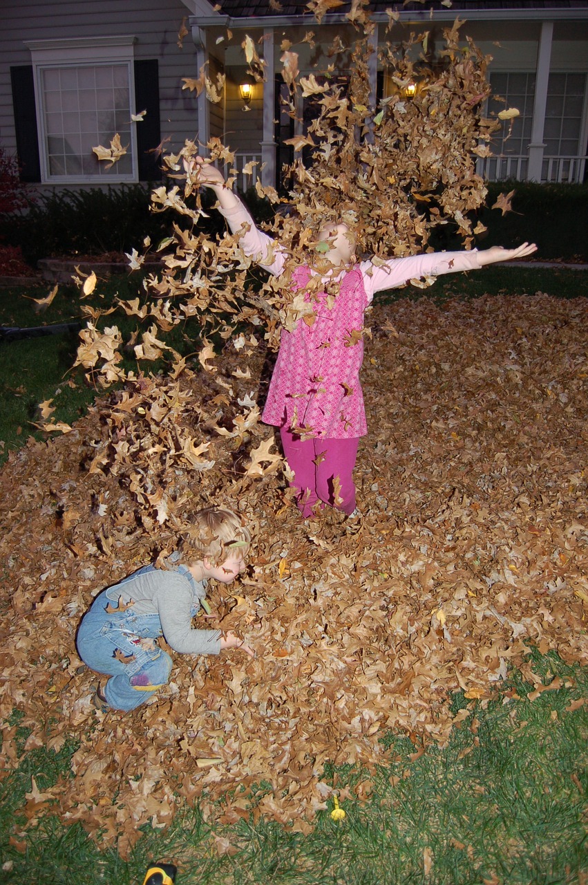 autumn fall children free photo