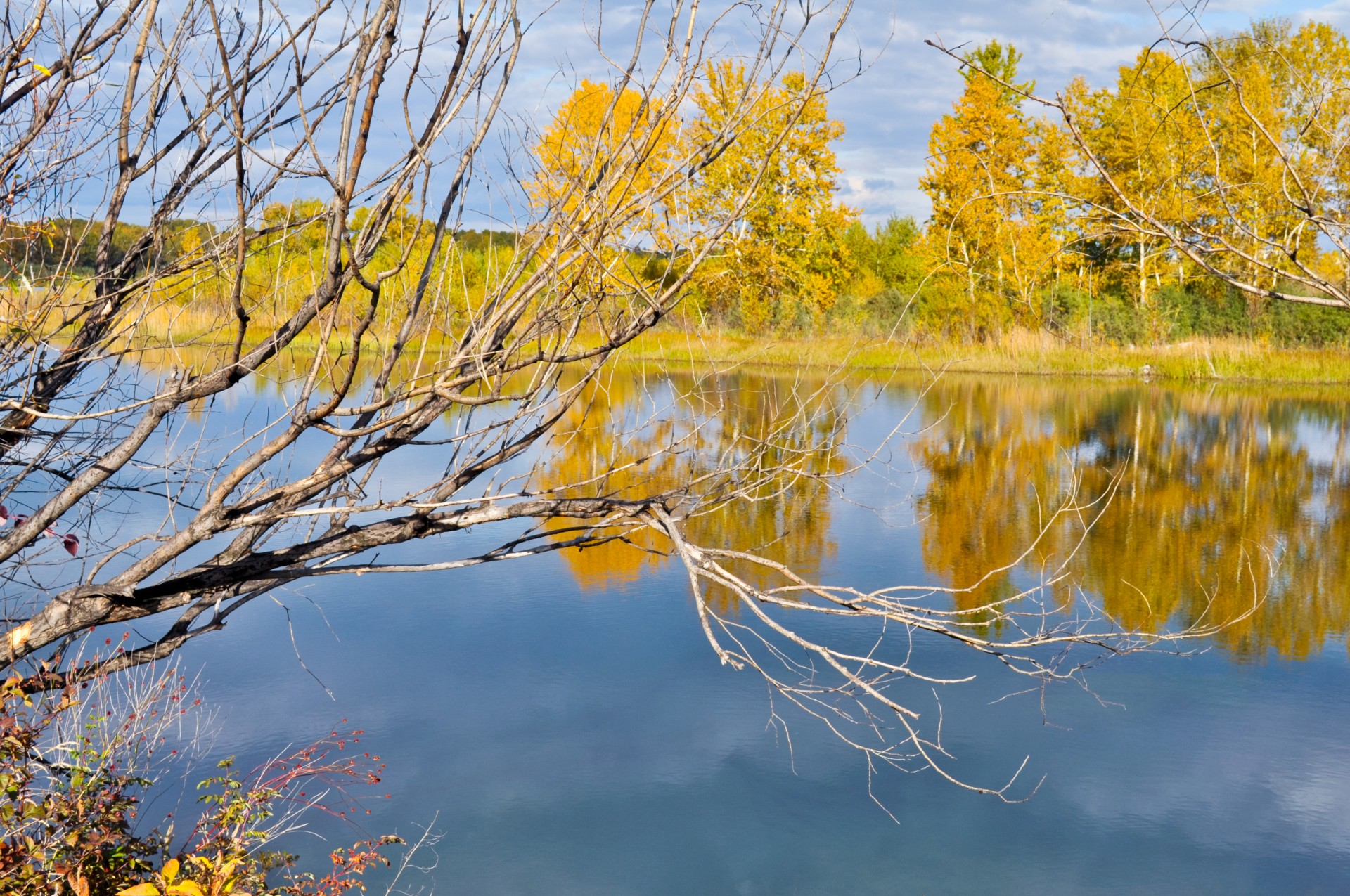 autumn background landscape free photo