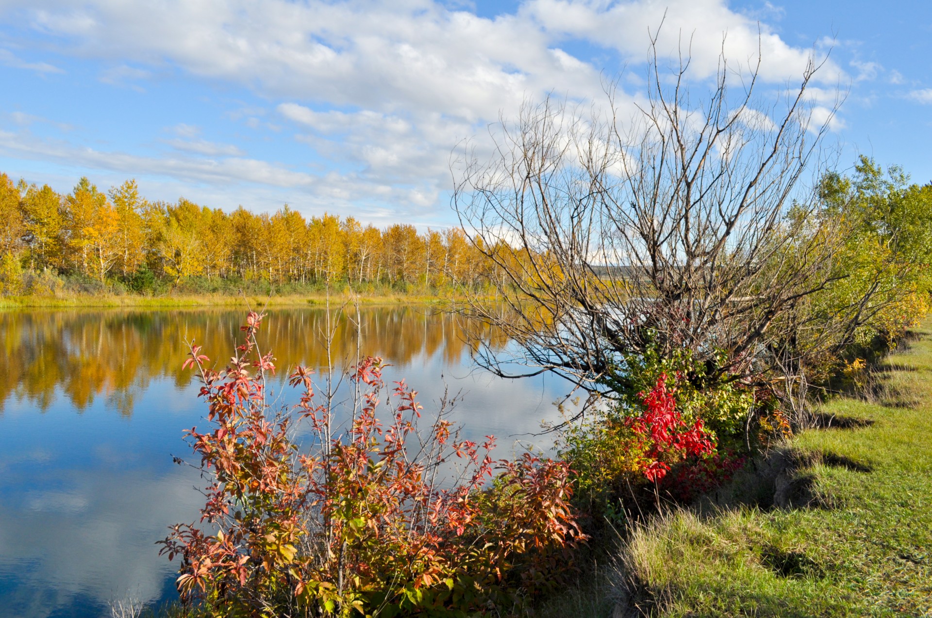 autumn background landscape free photo