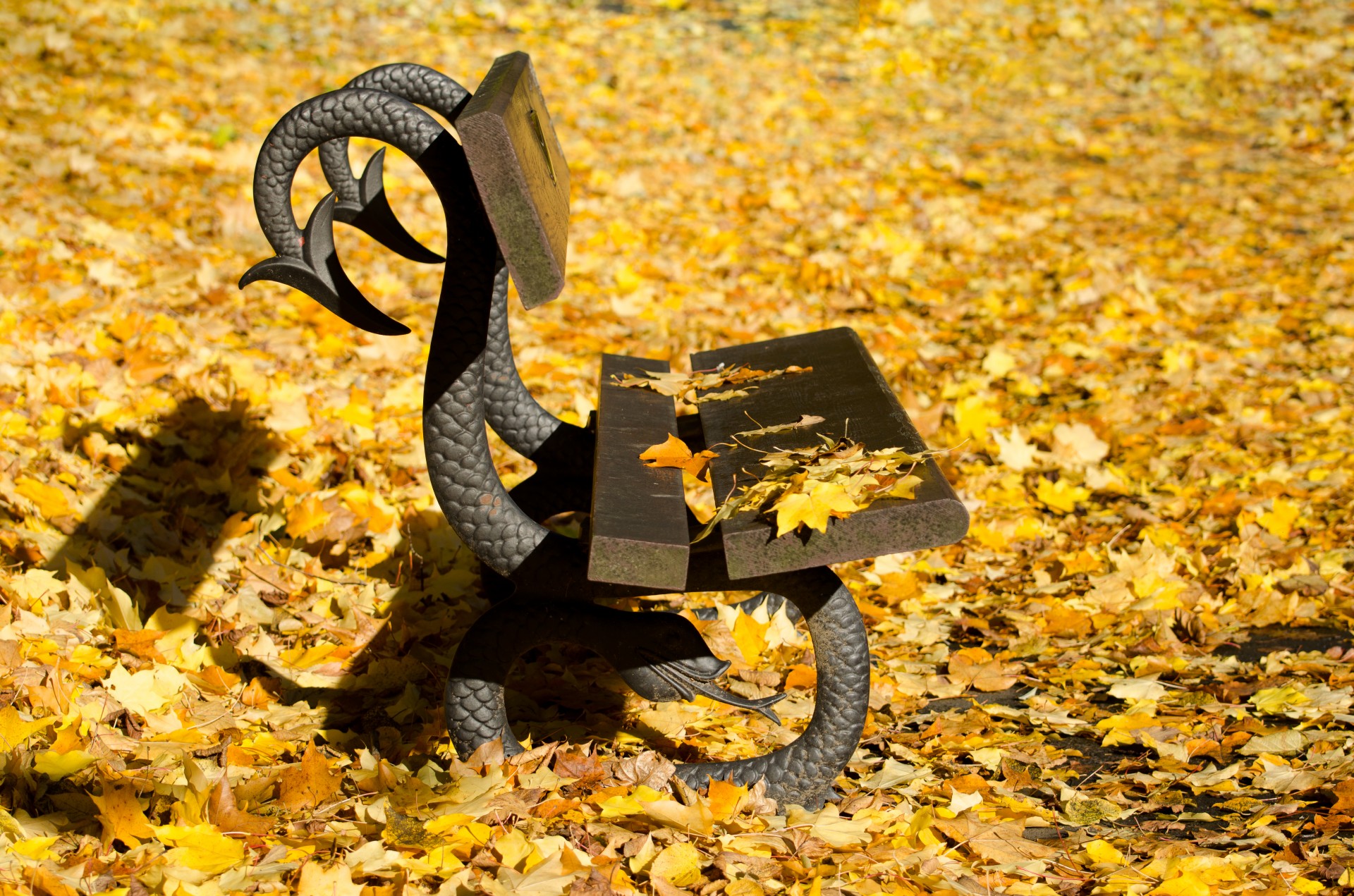 autumn bench leaves free photo