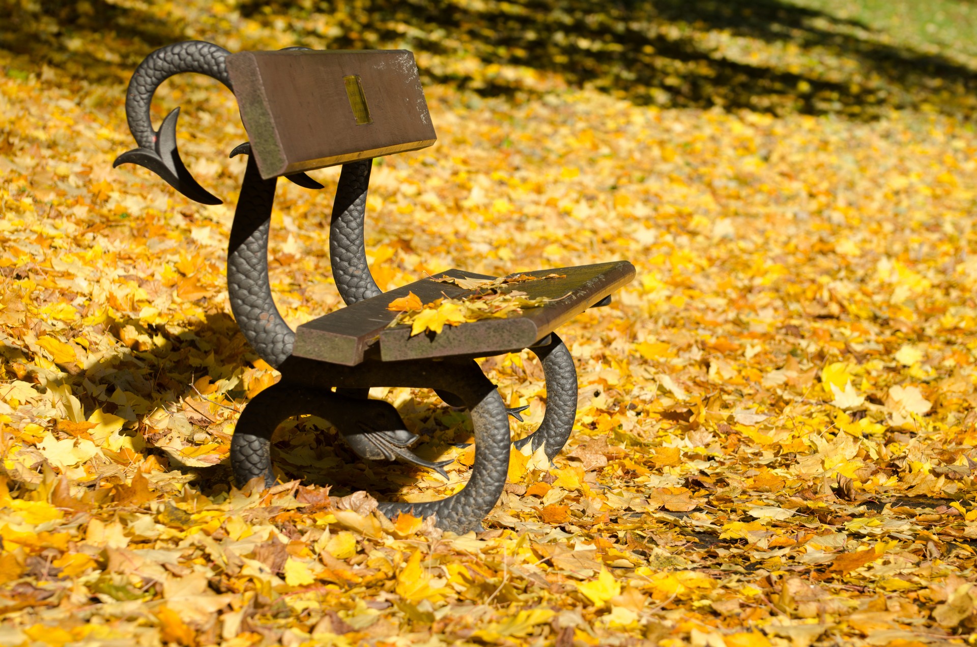 autumn bench leaves free photo