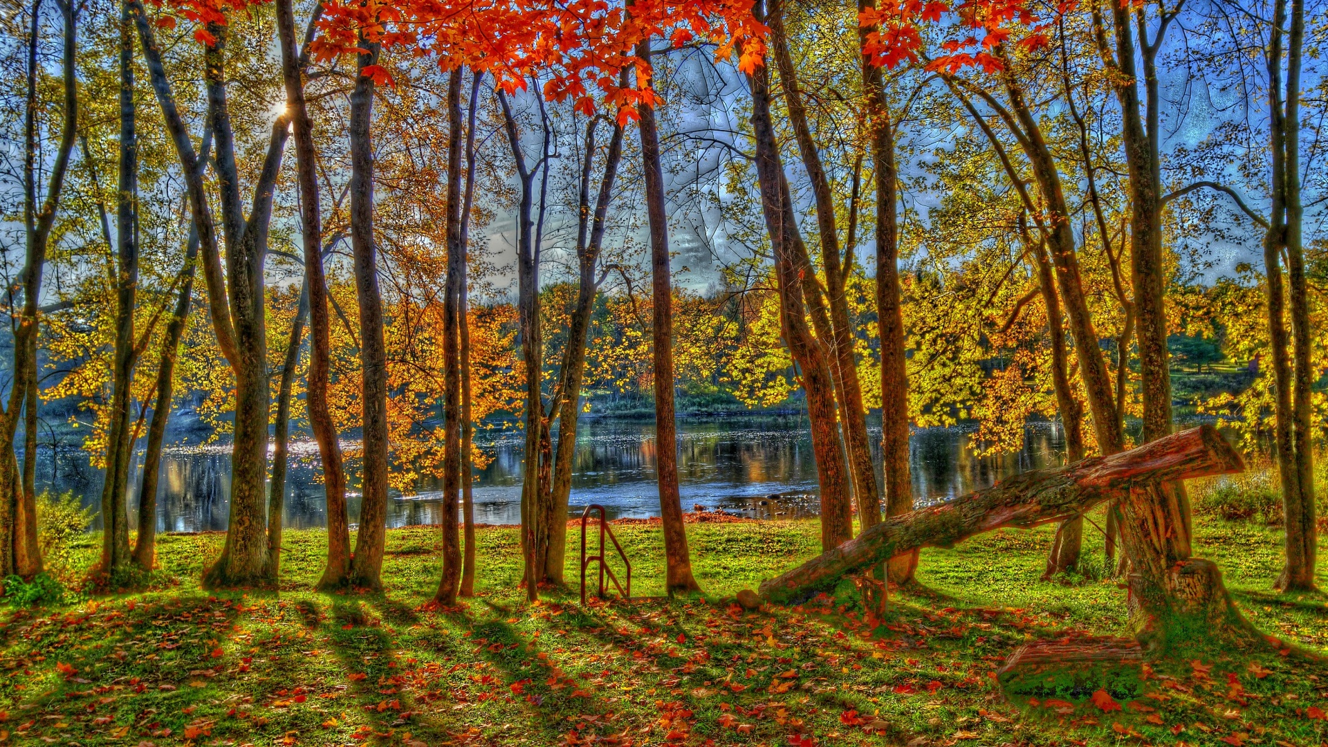 autumn fall river free photo