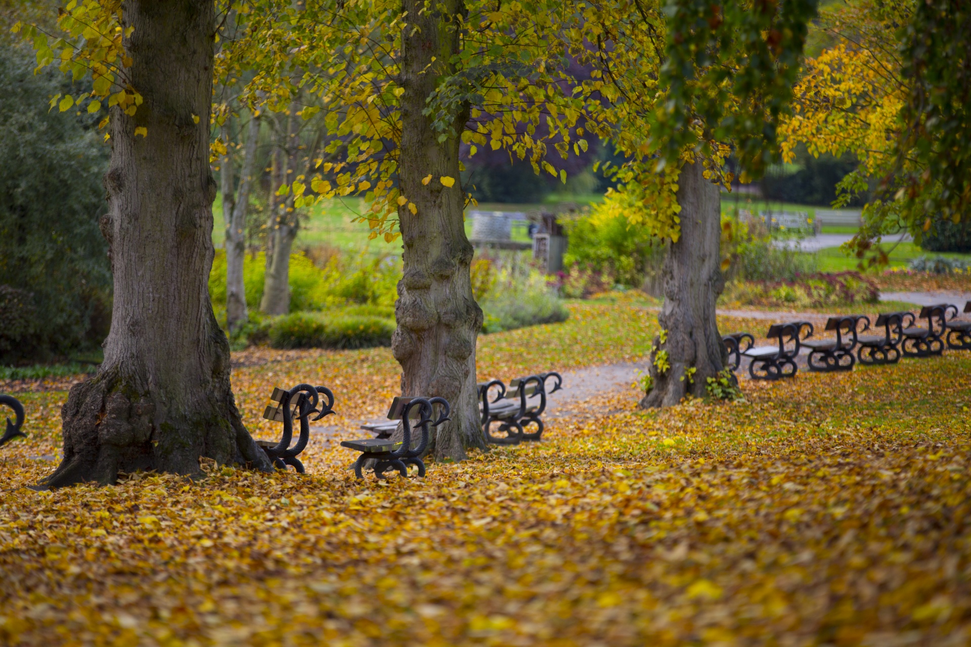 bench wooden front free photo