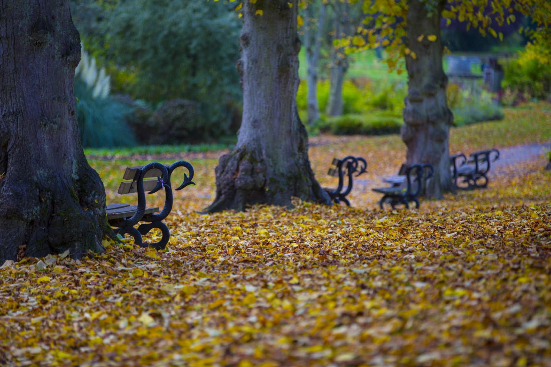 bench wooden front free photo