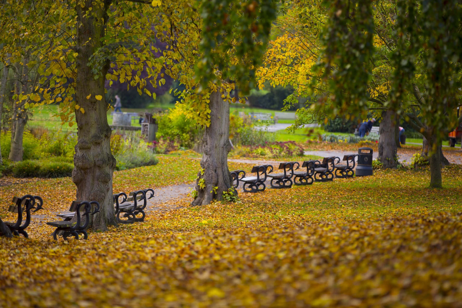 bench wooden front free photo