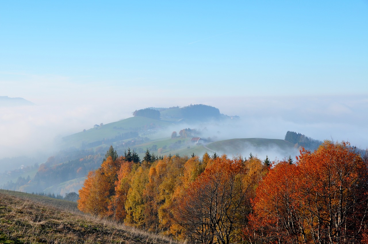 autumn autumn mood colorful leaves free photo