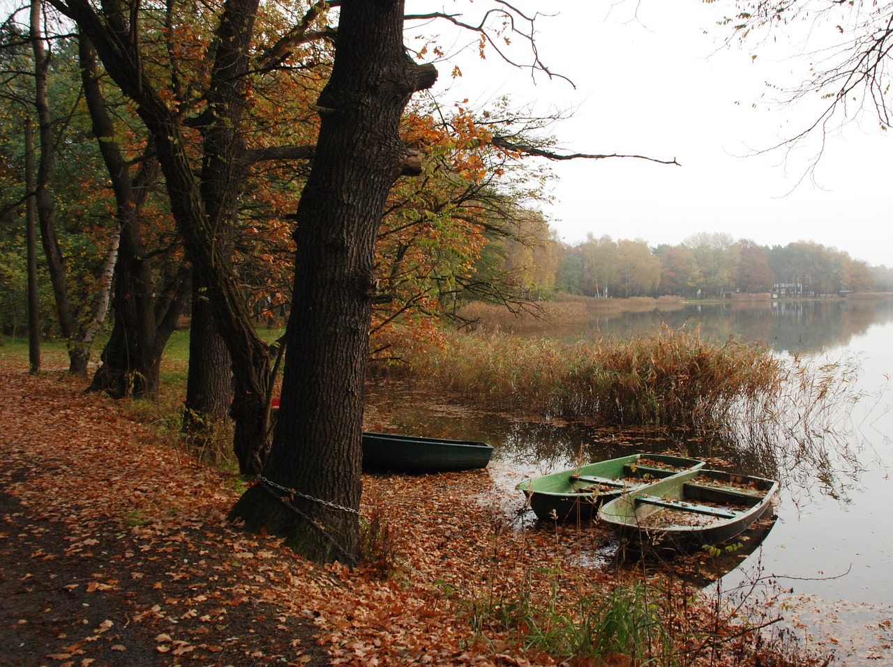 autumn water boat free photo