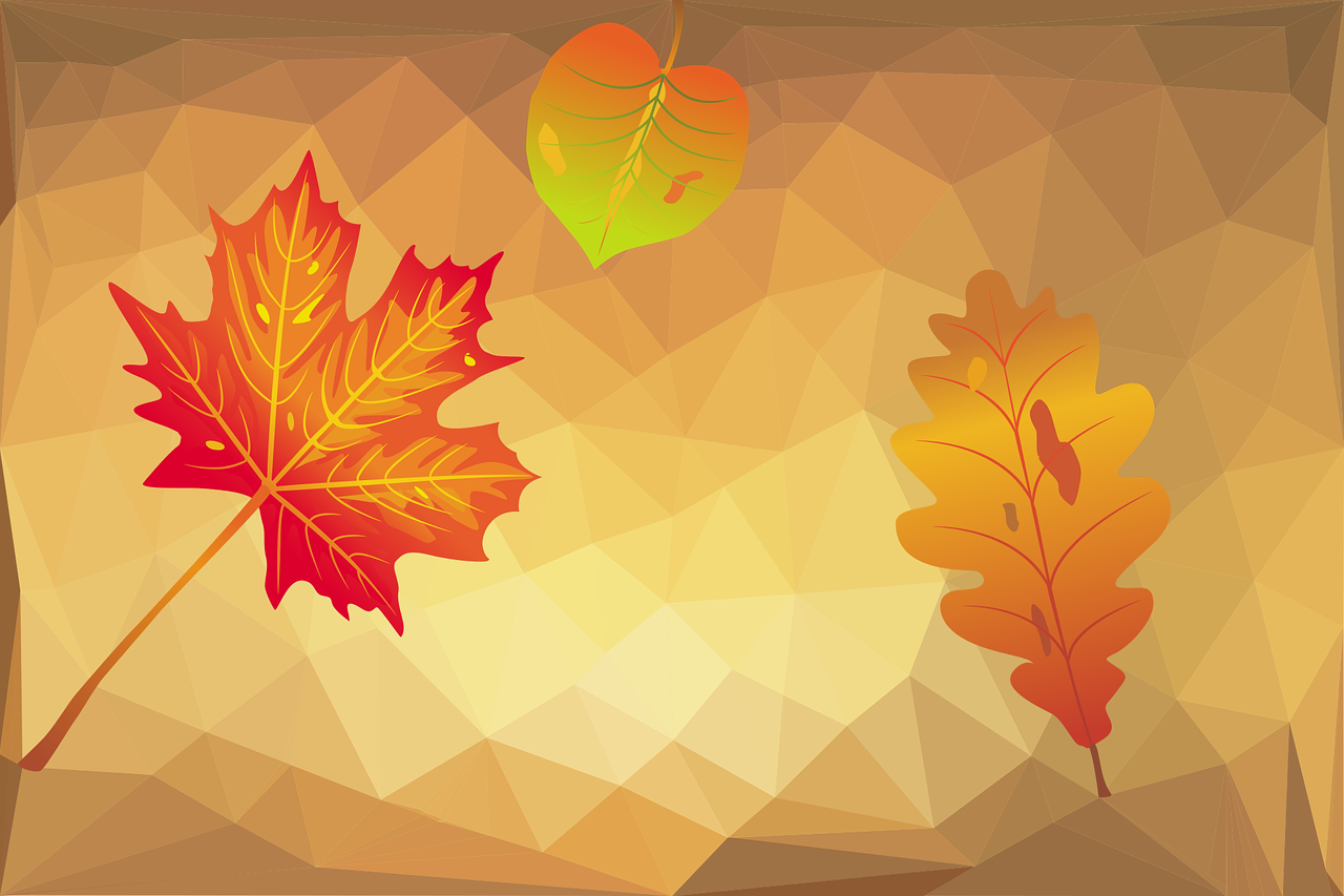 autumn leaf polygonal free photo