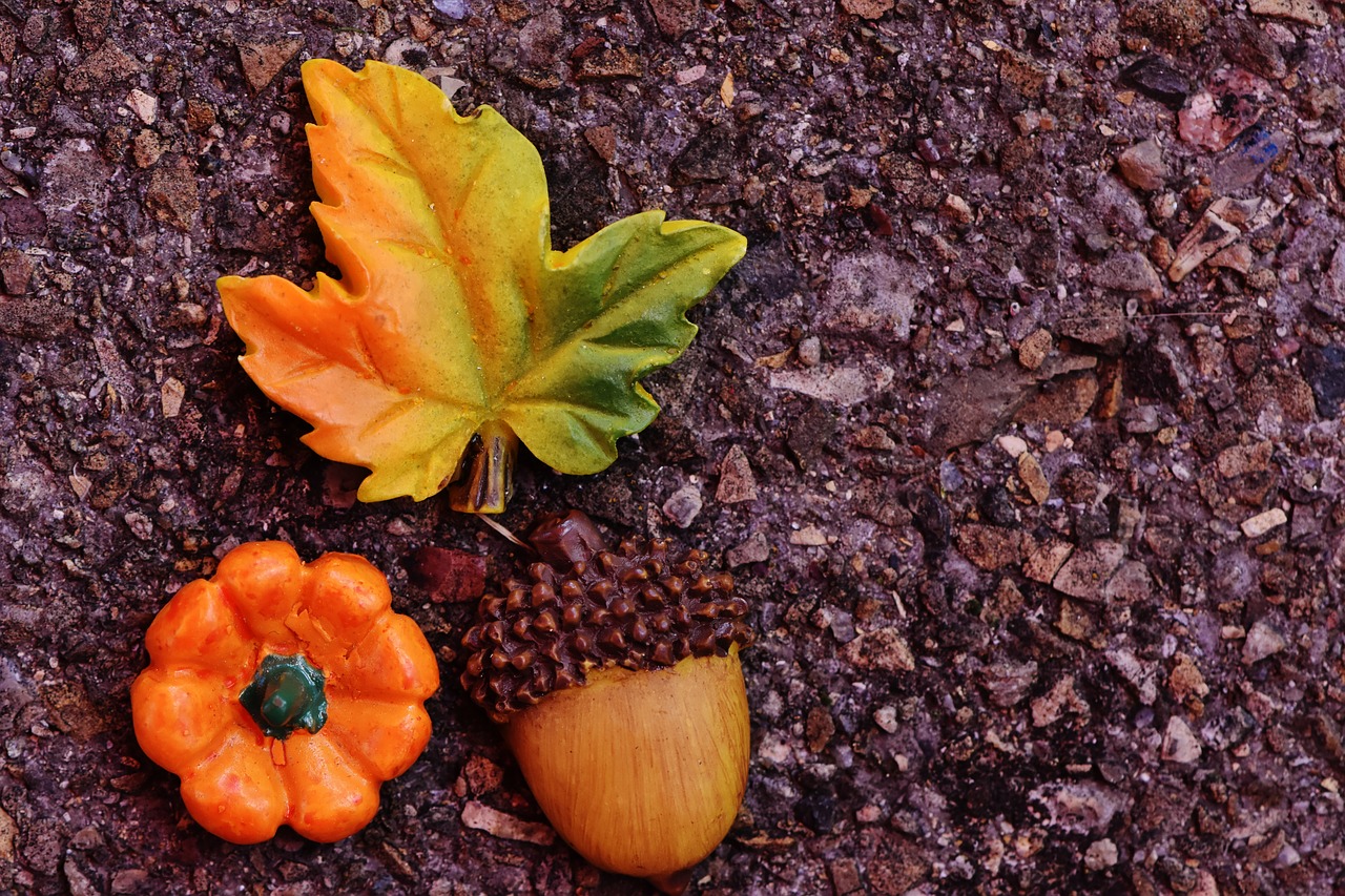 autumn leaf leaves in the autumn free photo