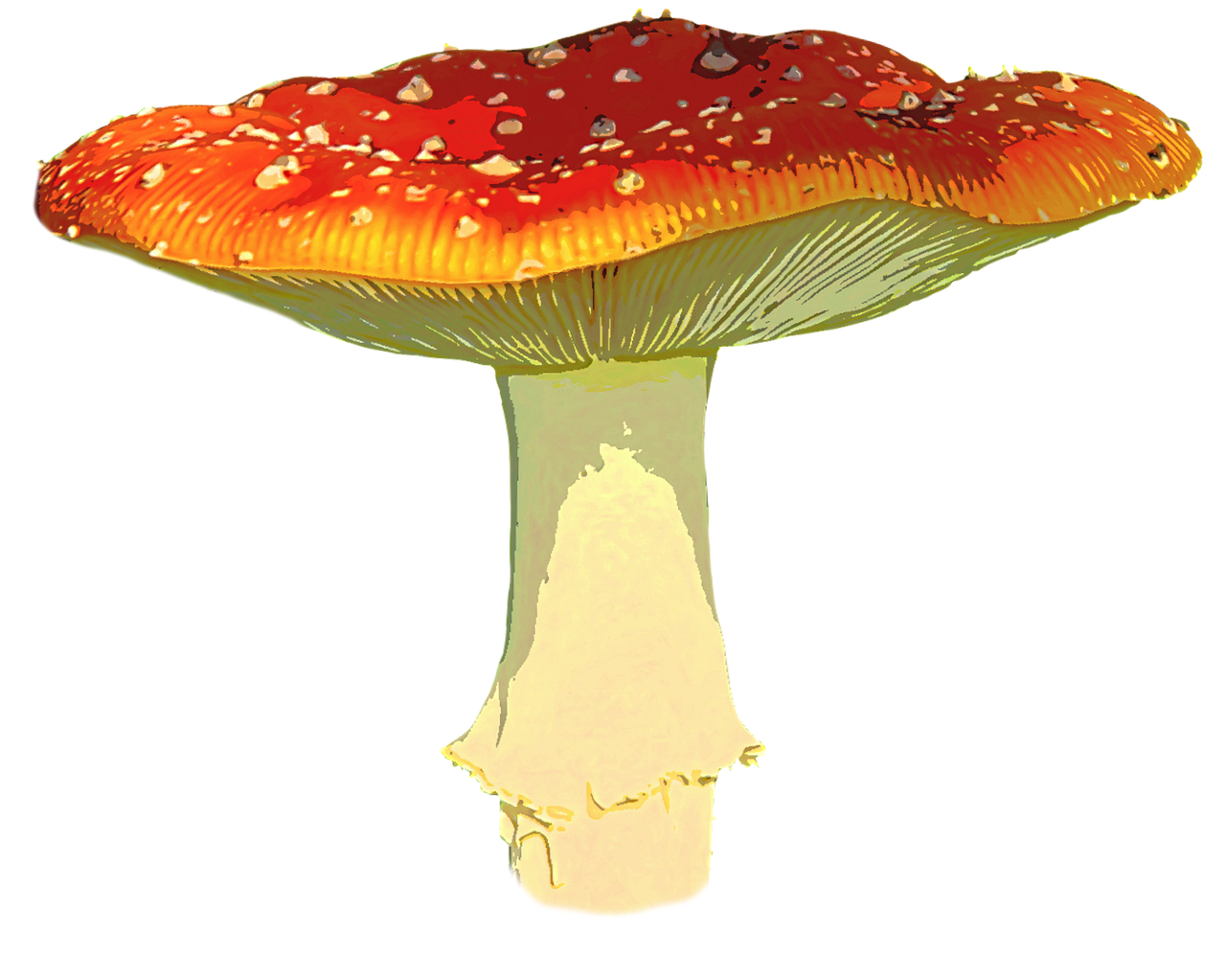 fly agaric autumn leaves free photo