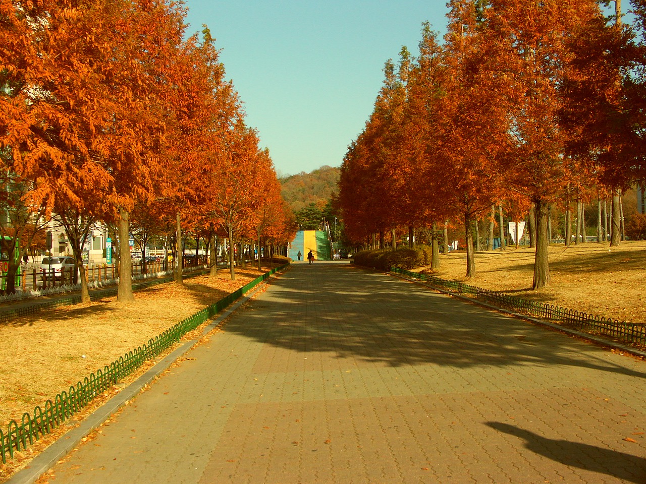 autumn park wood free photo