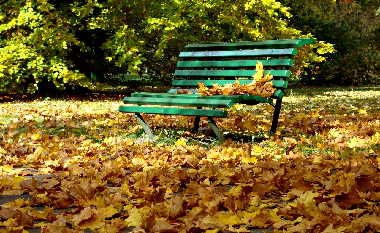 autumn bench park free photo