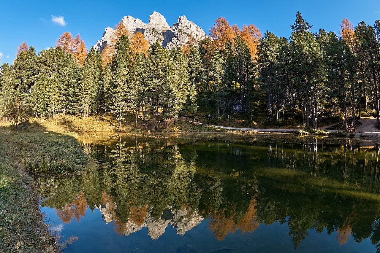 autumn lake trees free photo