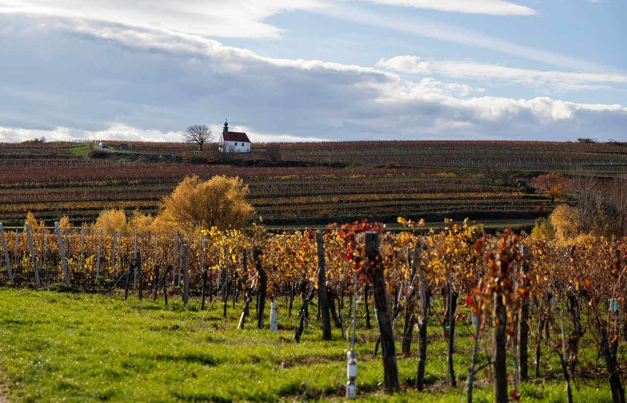 autumn landscape chapel free photo