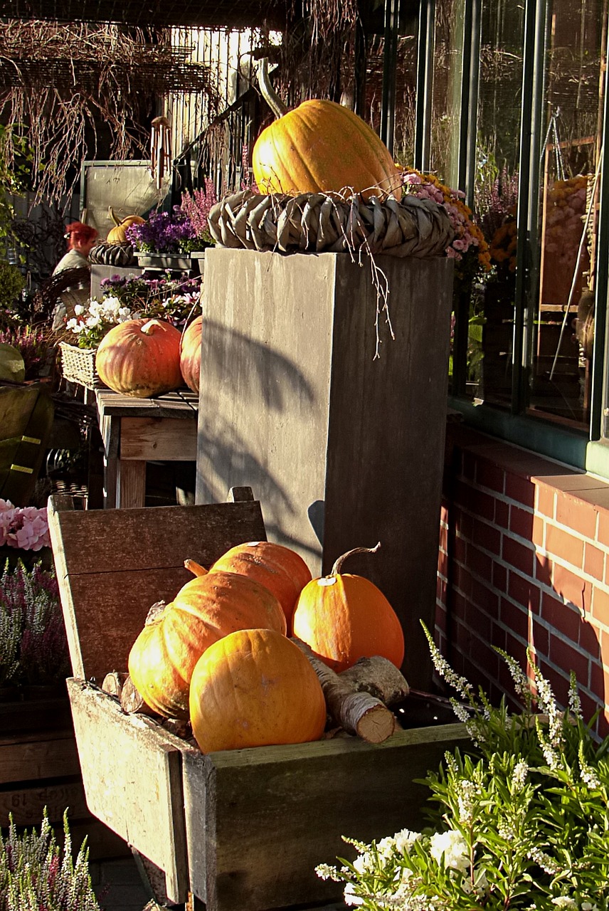 autumn pumpkin decoration free photo