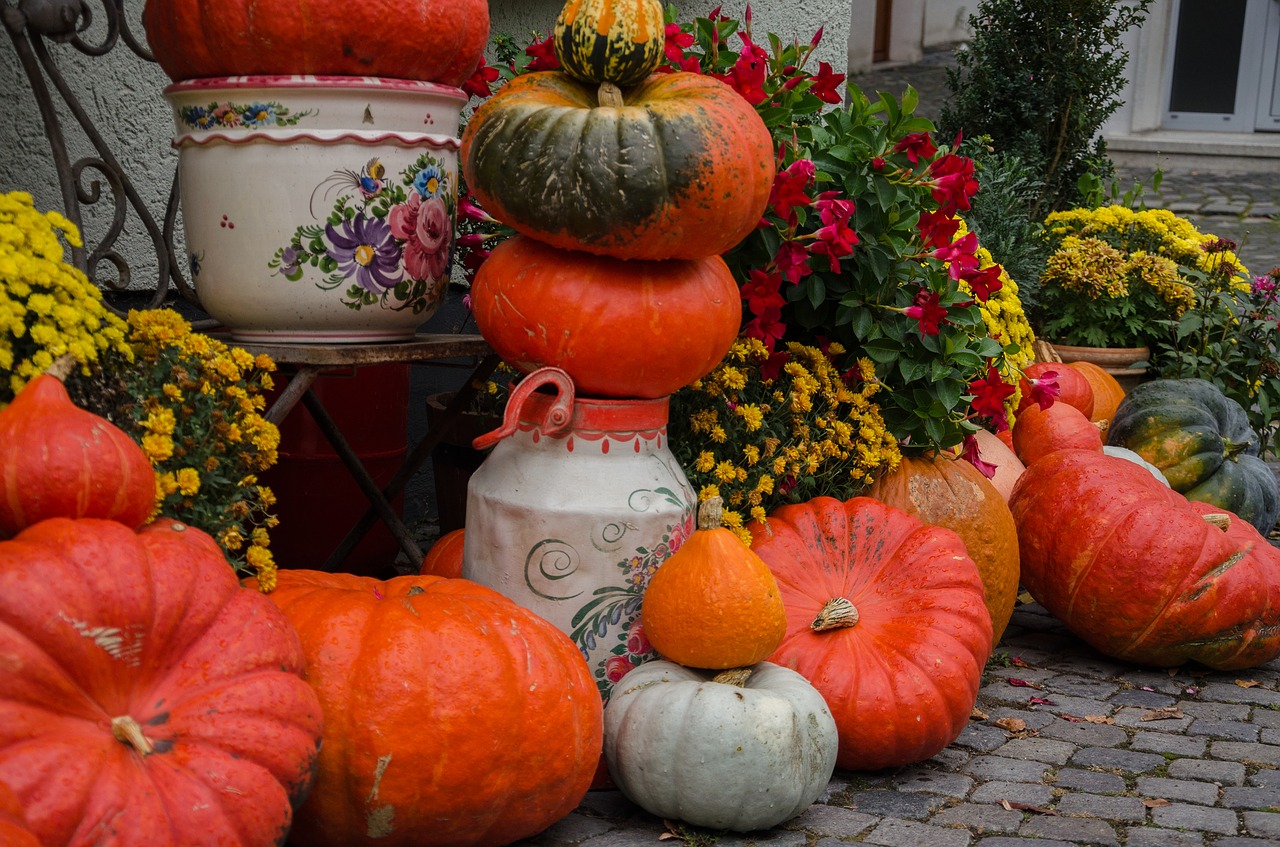 autumn pumpkins decoration free photo