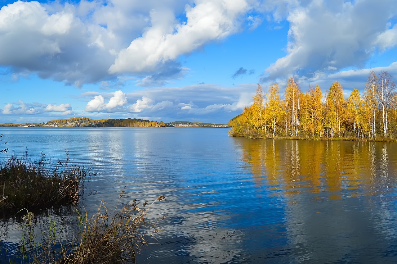 autumn pond river free photo