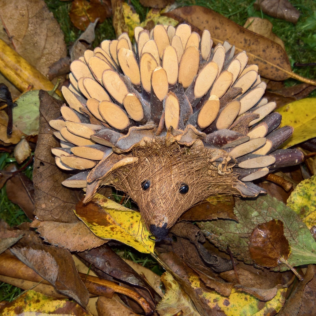 autumn leaves hedgehog autumn decoration free photo