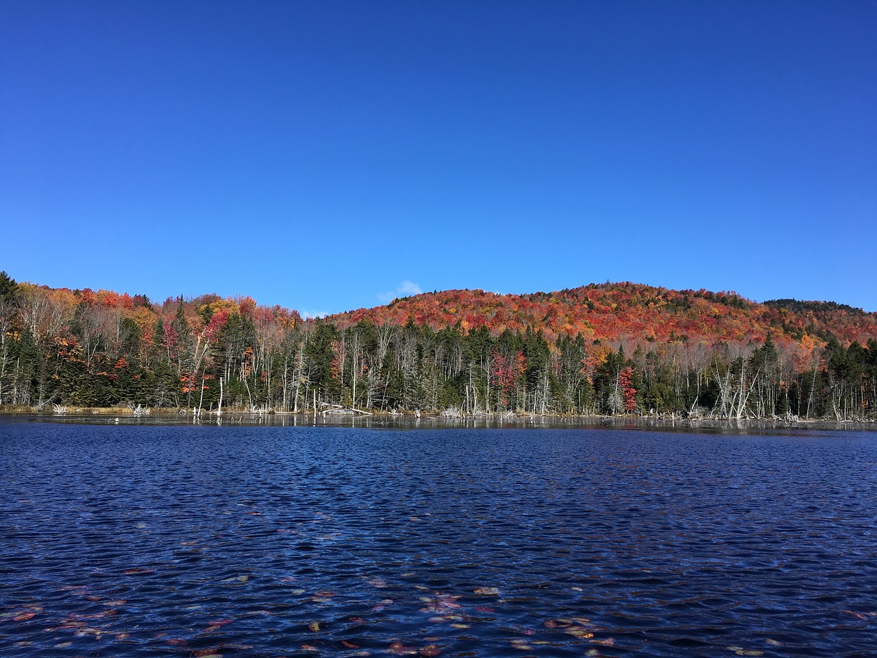 autumn lake mountains free photo