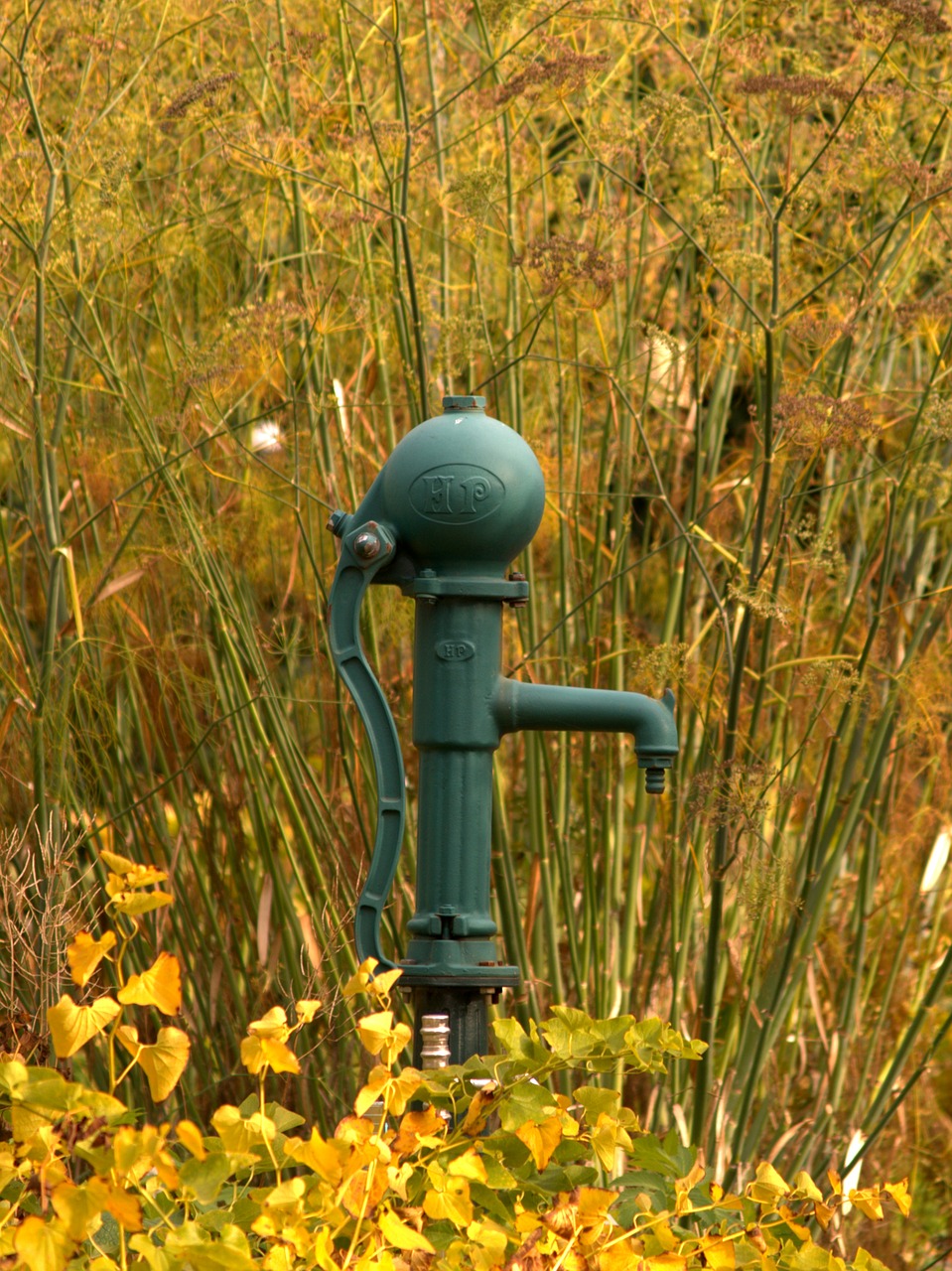 autumn water pump free photo