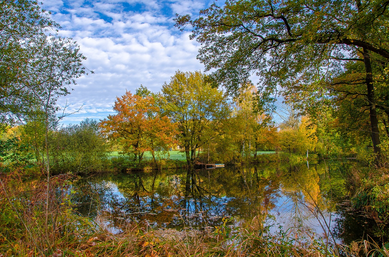 autumn water lake free photo