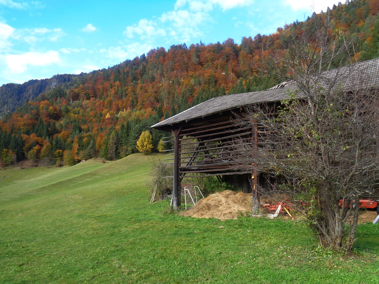 autumn nature golden autumn free photo