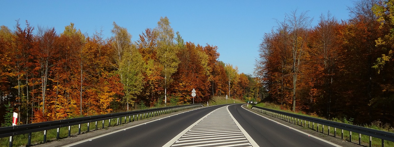 autumn foliage way free photo