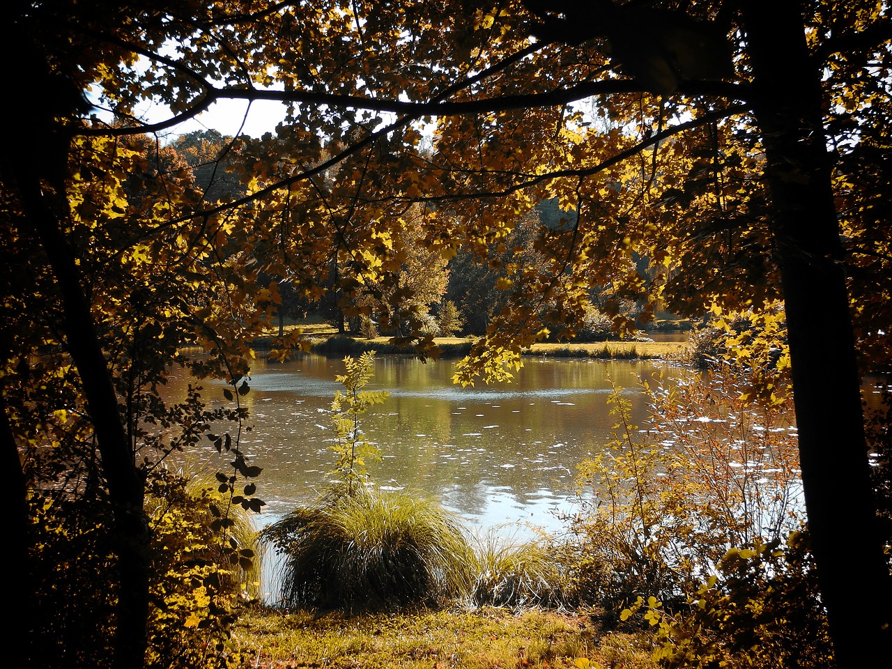 autumn lake nature free photo