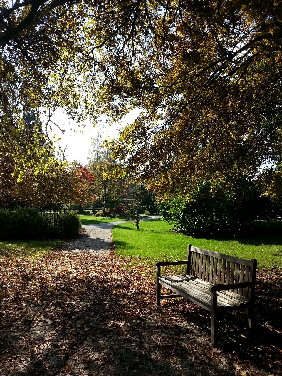 autumn bench leafs free photo