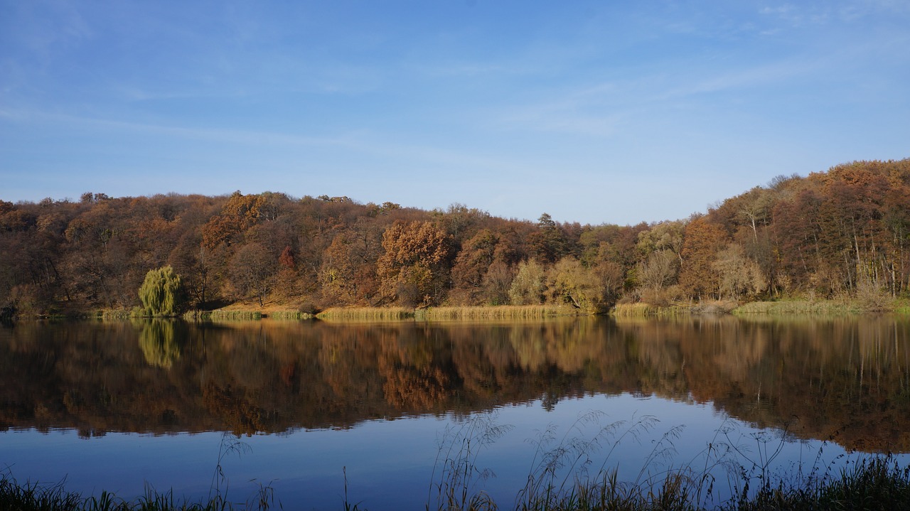 autumn sky forest free photo