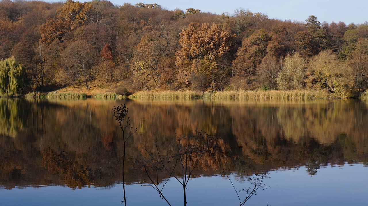 autumn lake nature free photo