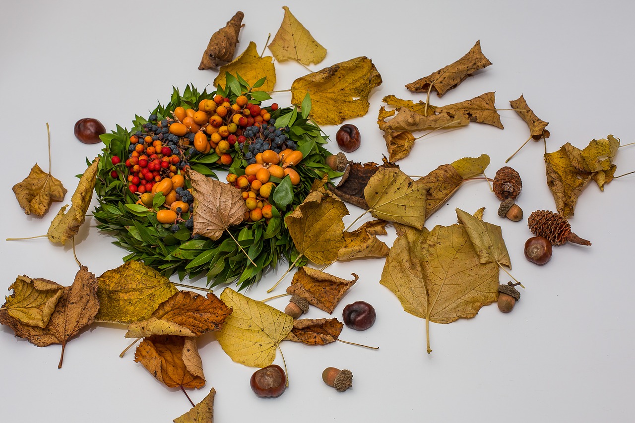 autumn leaves fall foliage free photo