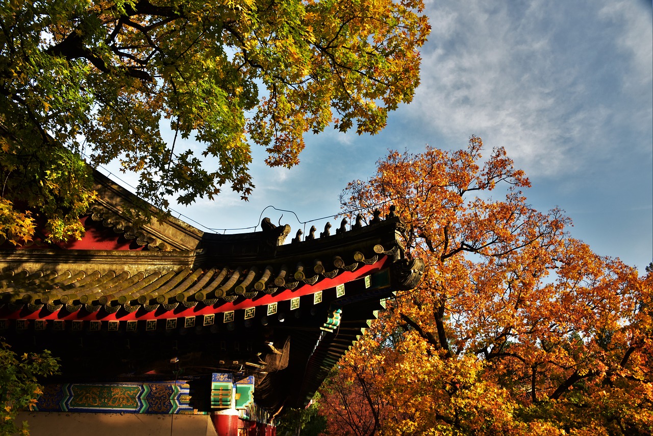 autumn ancient architecture roof free photo