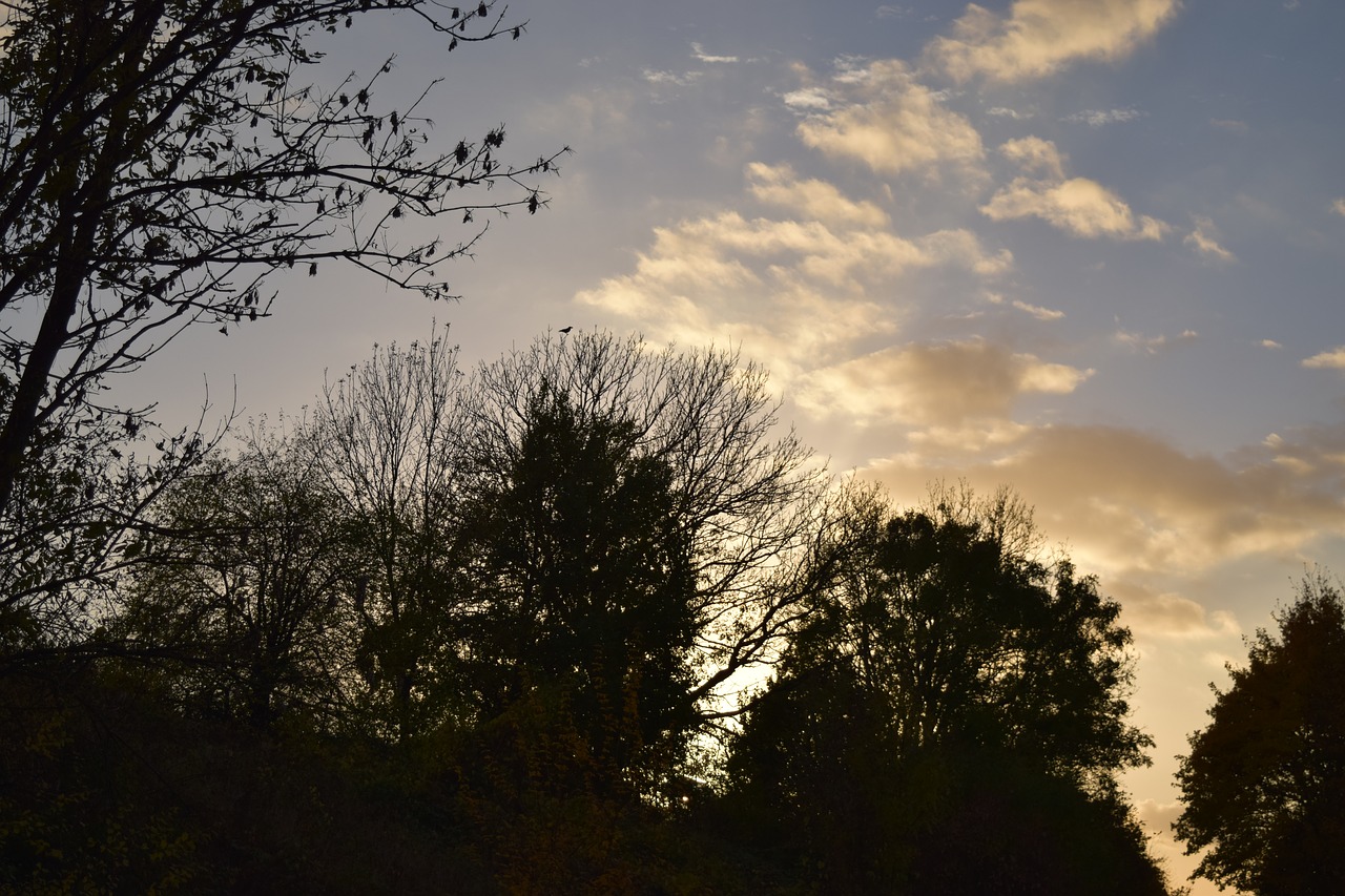 autumn sunset abendstimmung free photo