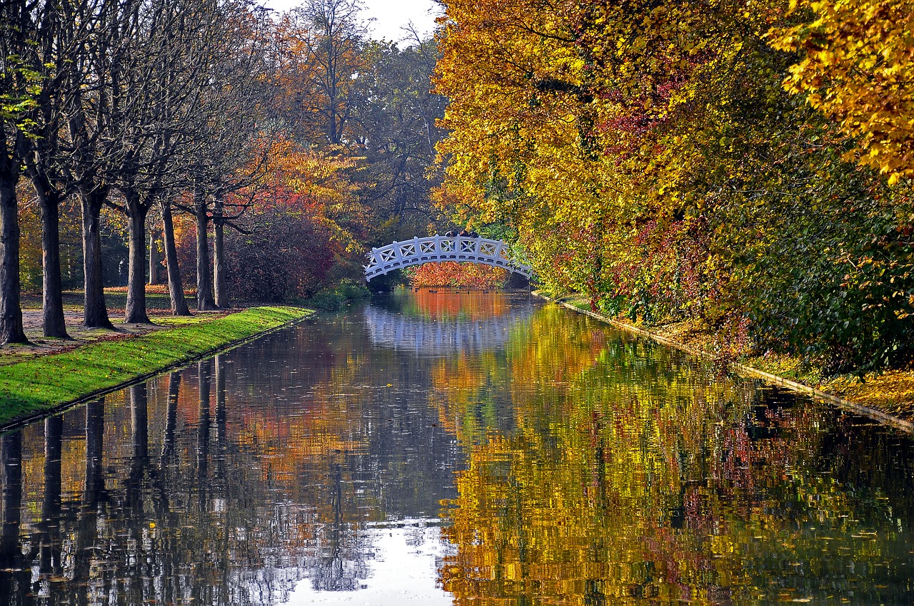 autumn castle park fall leaves free photo