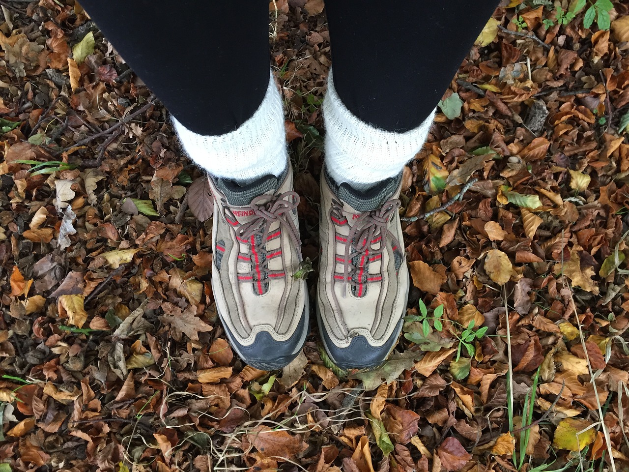 autumn boots leaves free photo