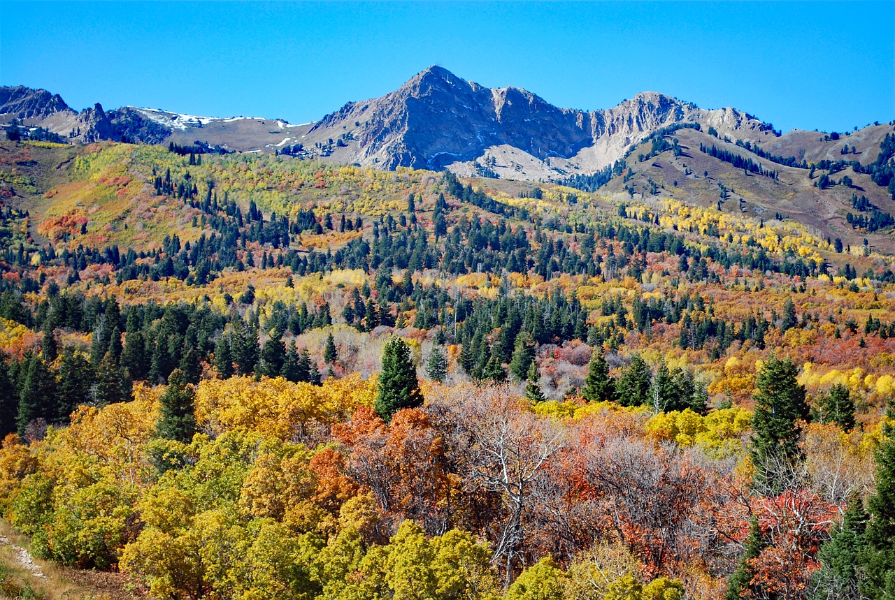 autumn mountain landscape free photo