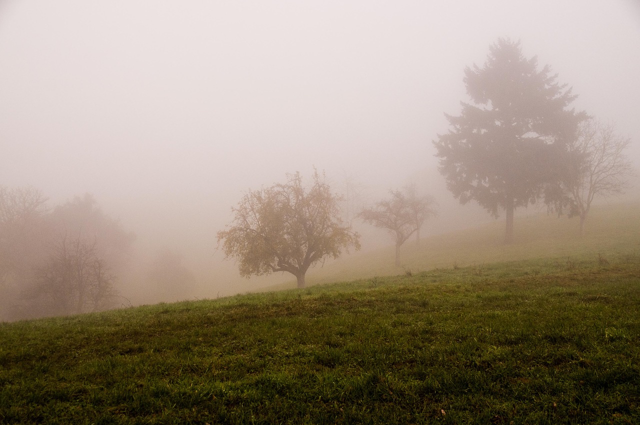 autumn fog landscape free photo