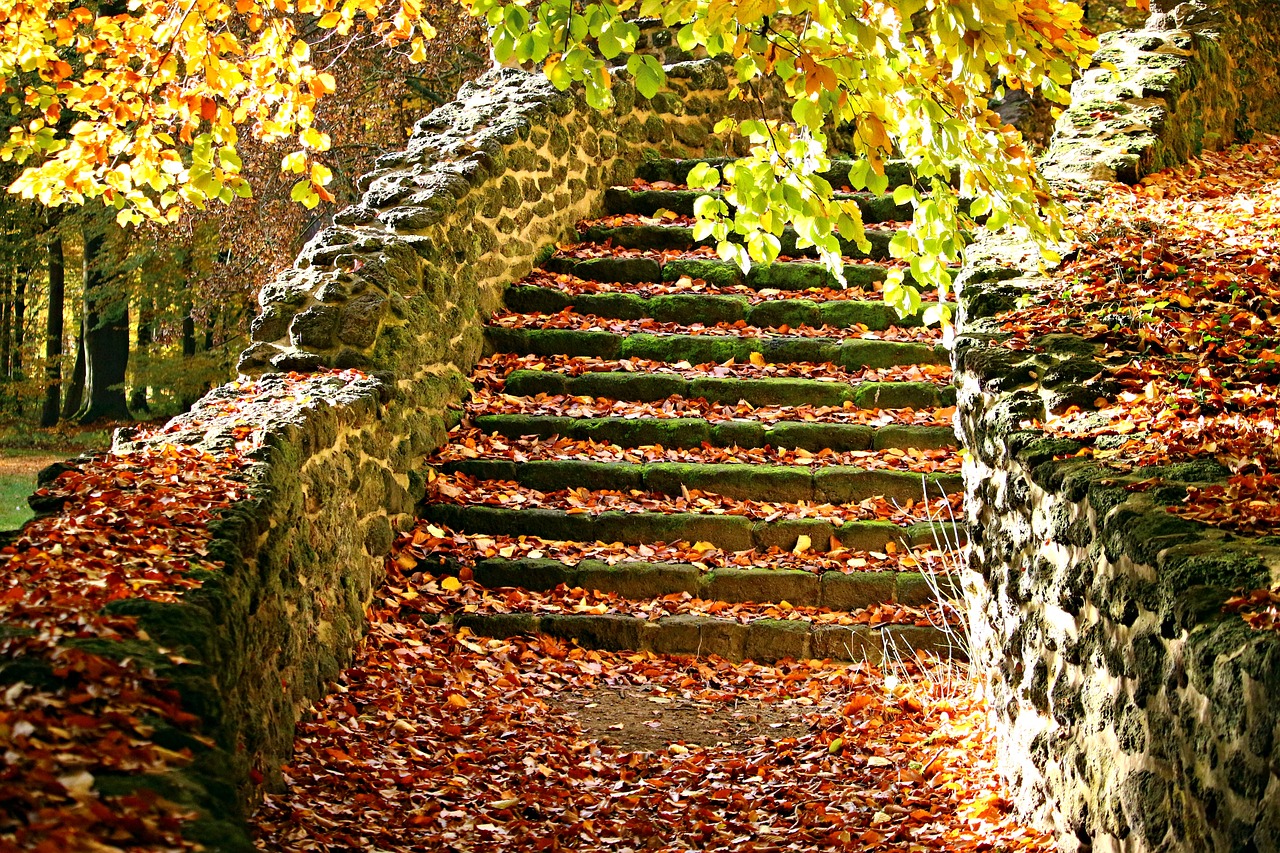 autumn stairs fall foliage free photo