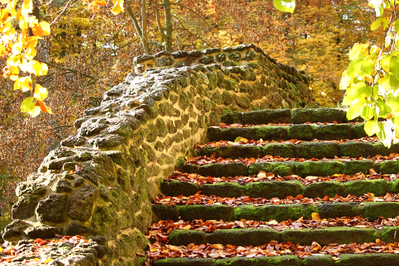 autumn stairs fall foliage free photo