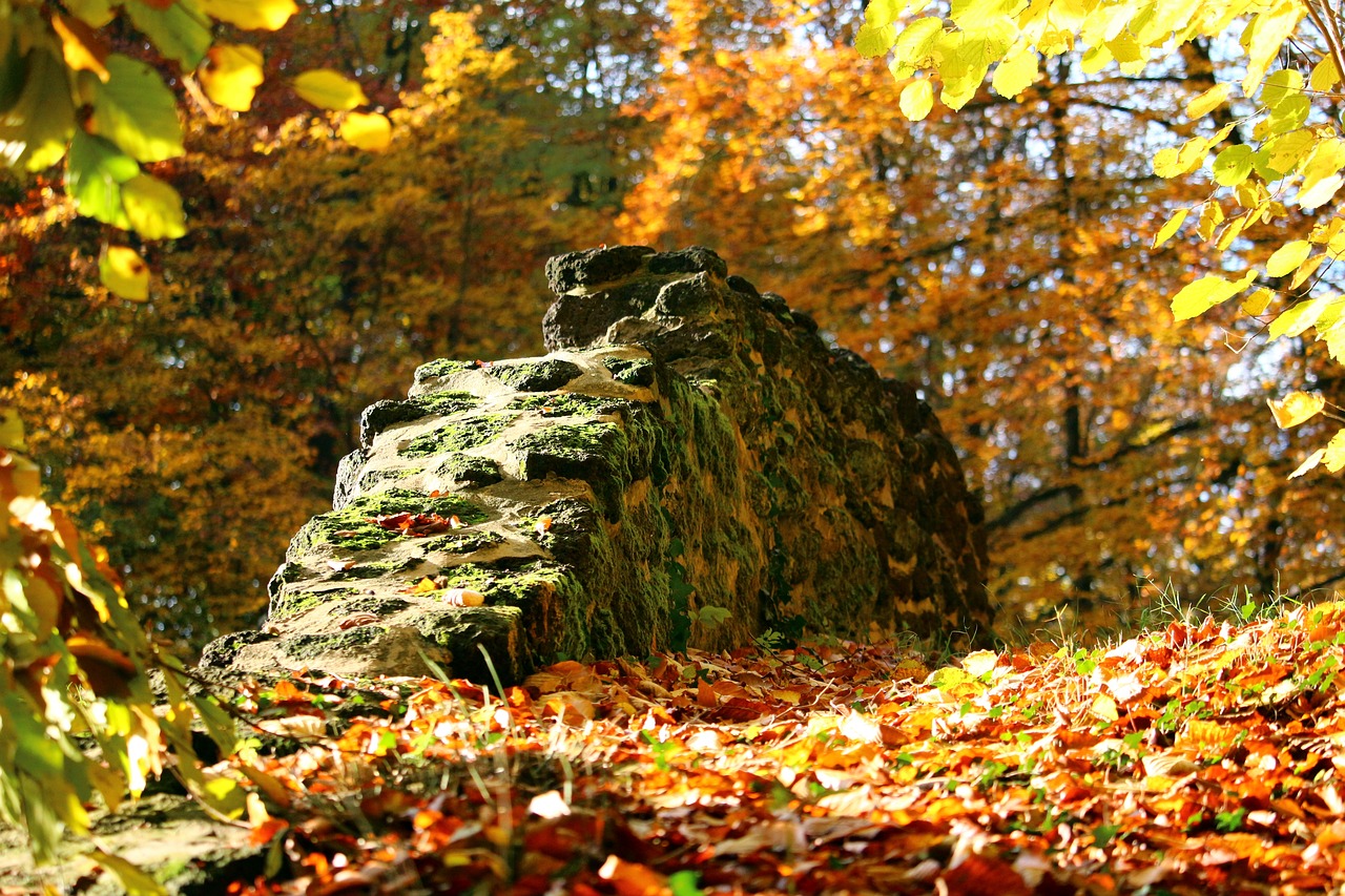 autumn stone wall fall foliage free photo